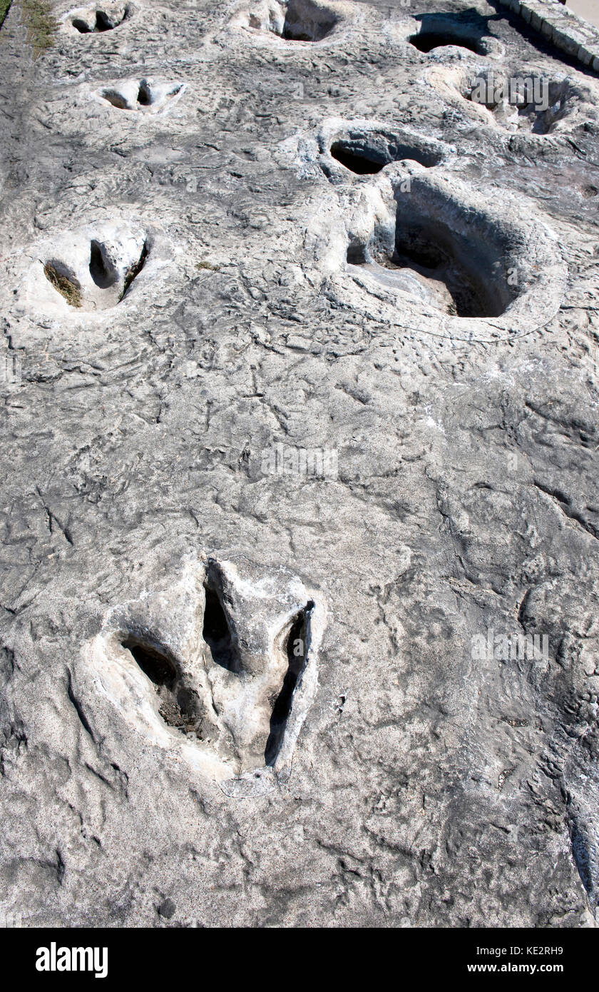 Valle di dinosauri del Parco Statale di Glen Rose,Texas mostra Dino le vie di oltre 100 milioni di anni. Foto Stock