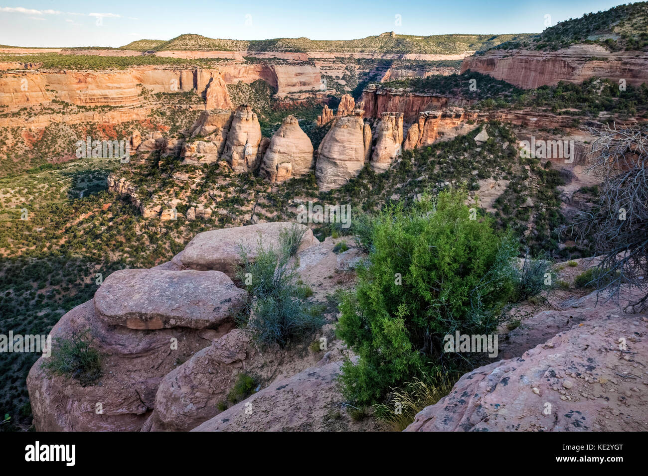 The Forumes, Colorado National Monument, Colorado, USA Foto Stock