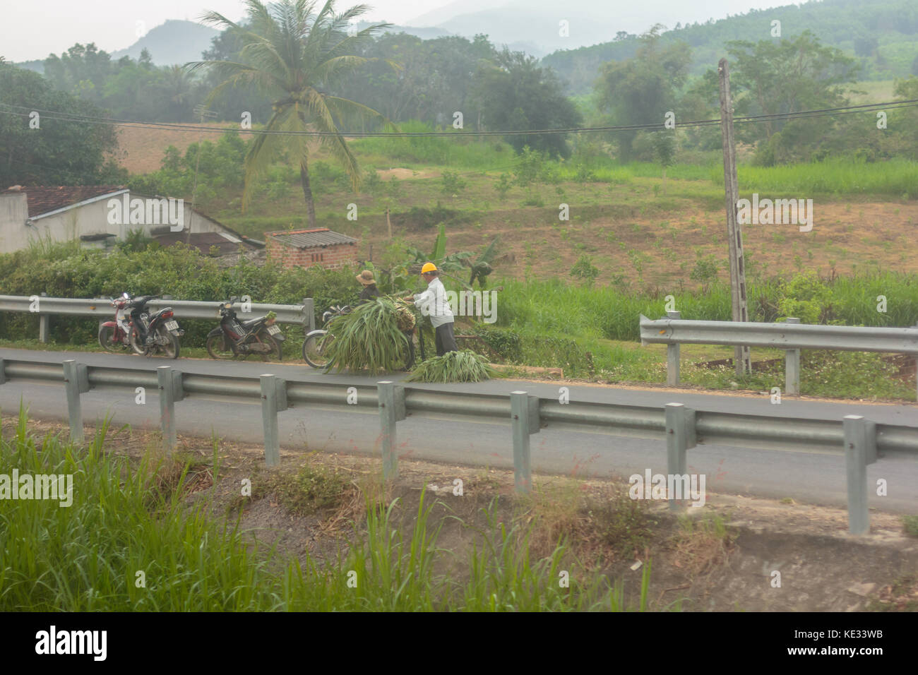 Raccolta di prodotti. Foto Stock