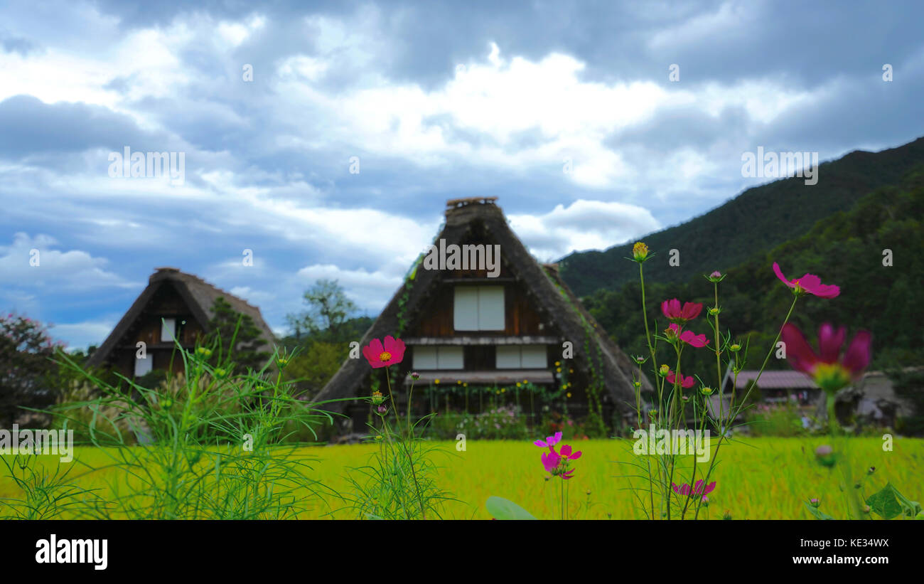 Shirakawago in autunno Foto Stock