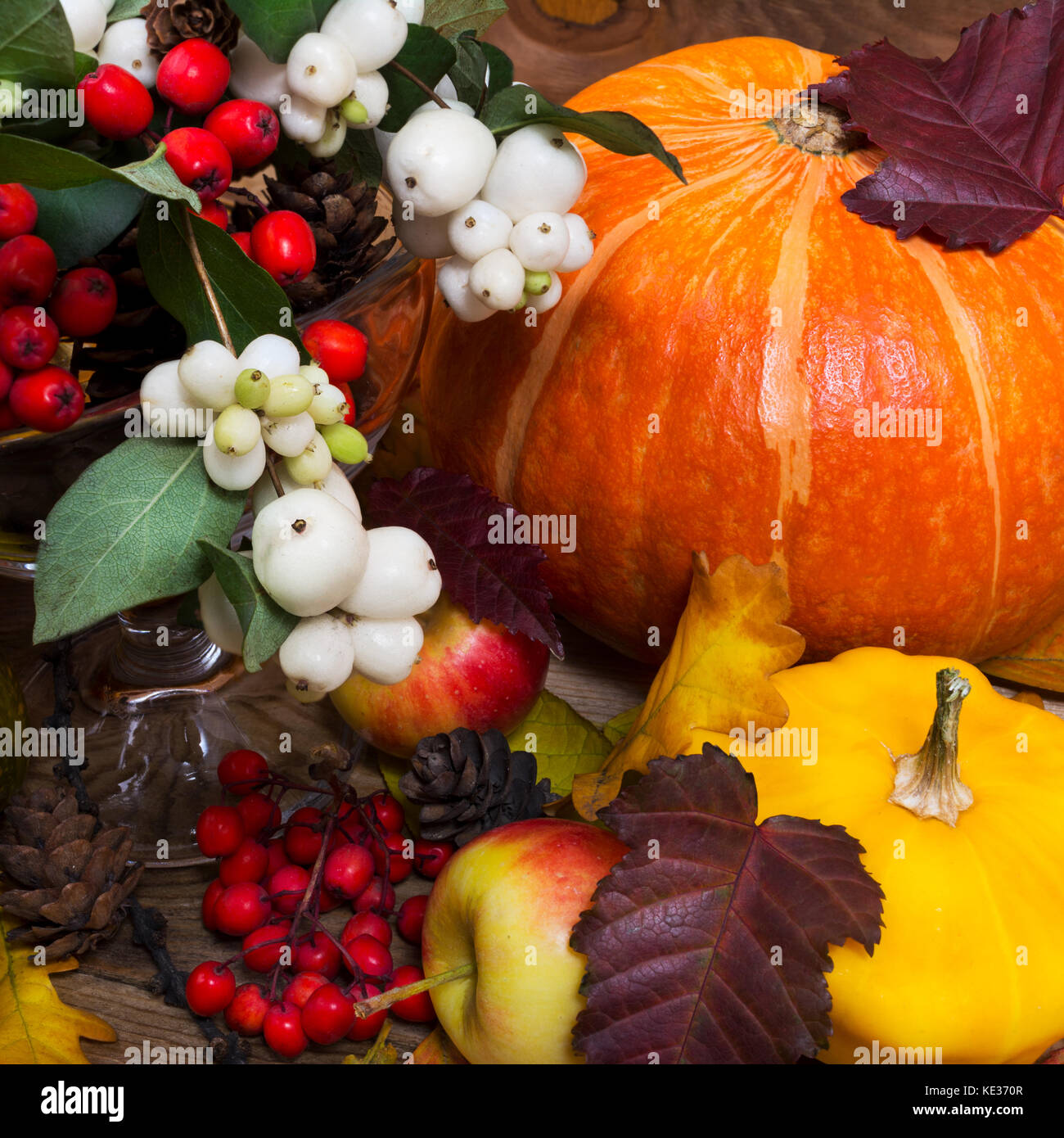 Ringraziamento o caduta in background con snowberry e rowan bacche, arancione zucca, zucca gialla Foto Stock