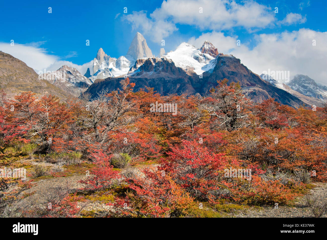 Massiccio di Fitzroy, parco nazionale Los Glaciares, sud dell Argentina Foto Stock
