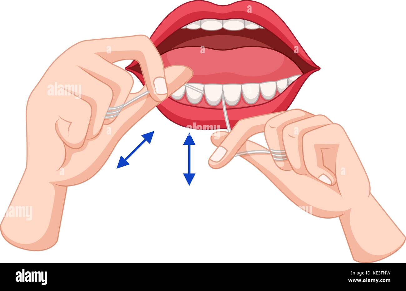 Dentale procedure di produzione di denti finti 294718 Arte vettoriale a  Vecteezy