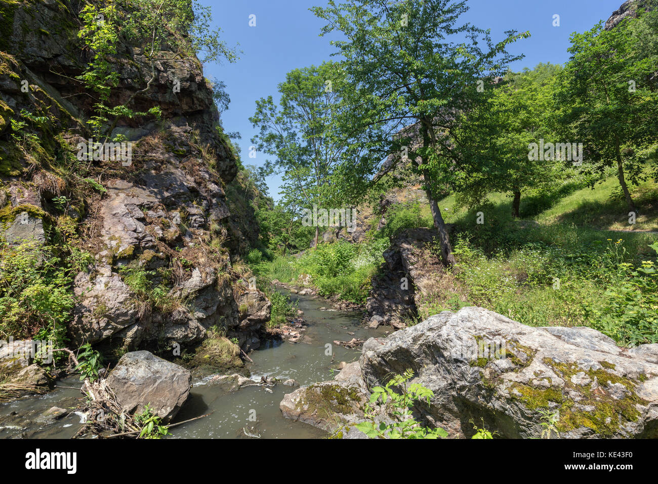 Flusso di fondo di una gola a Divoka Sarka in una giornata di sole. Si tratta di una riserva naturale alla periferia di Praga nella Repubblica ceca. Foto Stock