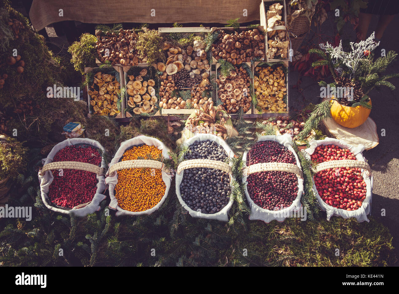 Diversi tipi di frutti di montagna e i funghi in cesti nel mercato. autunno la mietitura Foto Stock