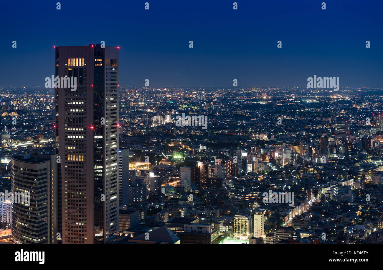 Tokyo Night view da Metropolitan Government Office Foto Stock