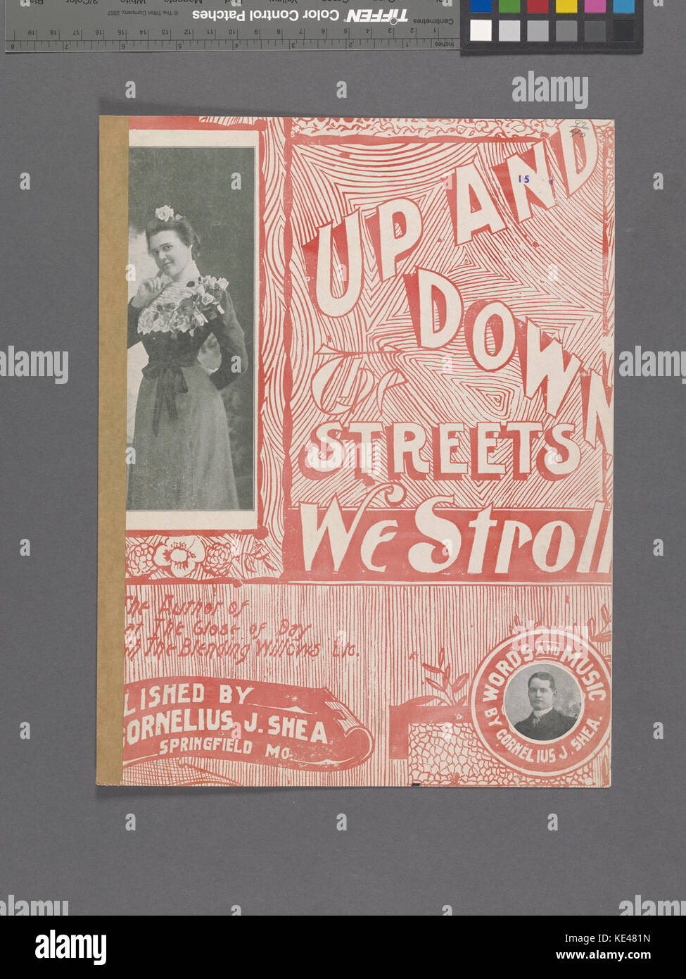 Su e giù per le strade abbiamo passeggiata (NYPL ADE 608981 1257235) Foto Stock