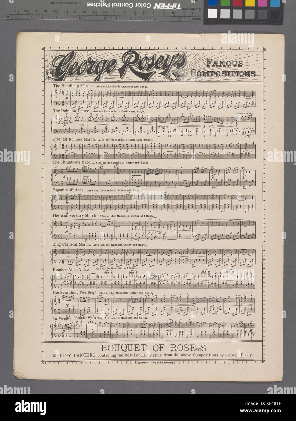 La ragazza che ho amato nella soleggiata Tennessee (NYPL ADE 608800 1972858) Foto Stock