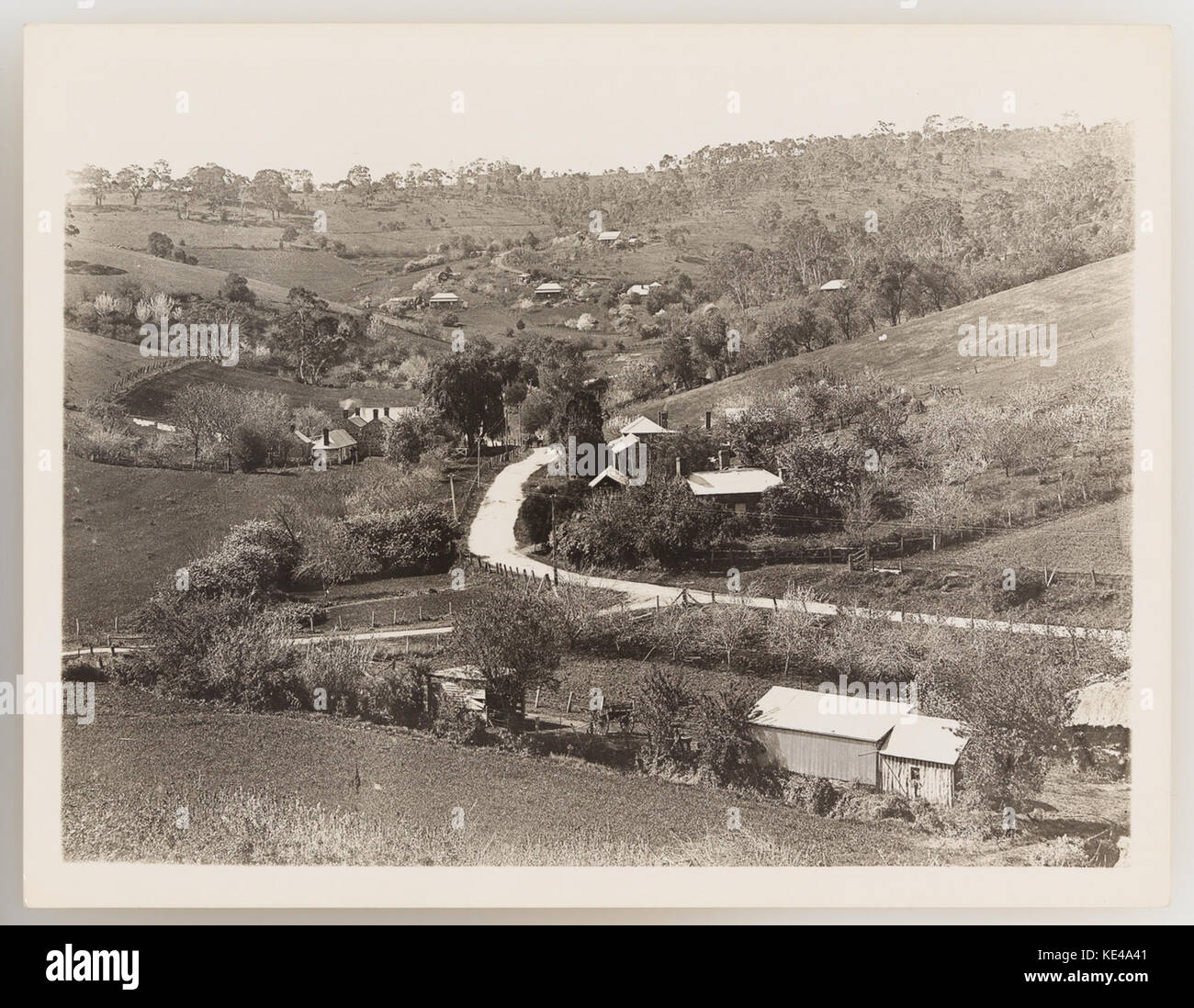 Serie 920823 17 rurale e bush scenario ca 19211923 Foto Stock