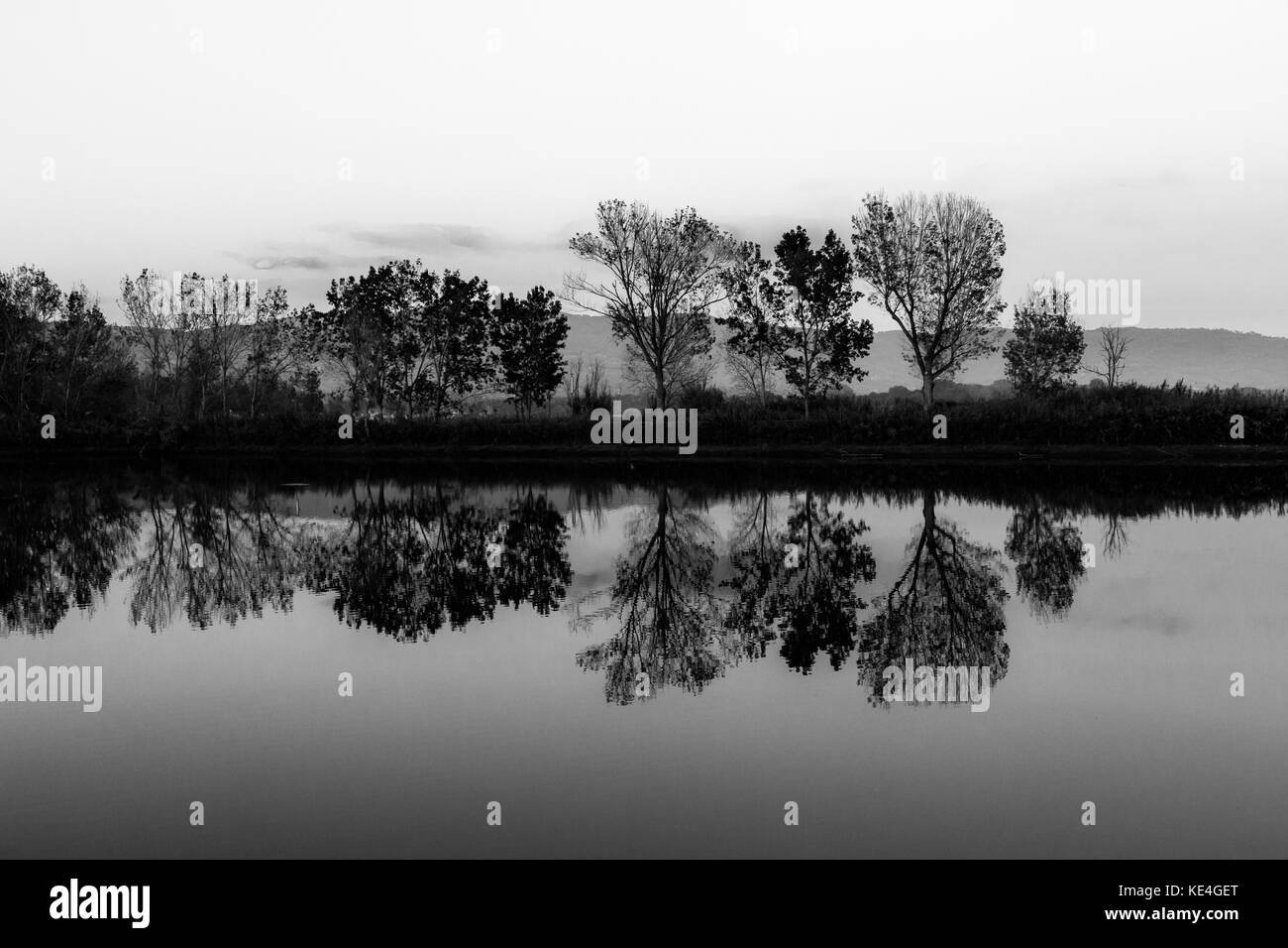 Una foto simmetrica di un lago, con gli alberi e le nubi riflessi sull'acqua Foto Stock