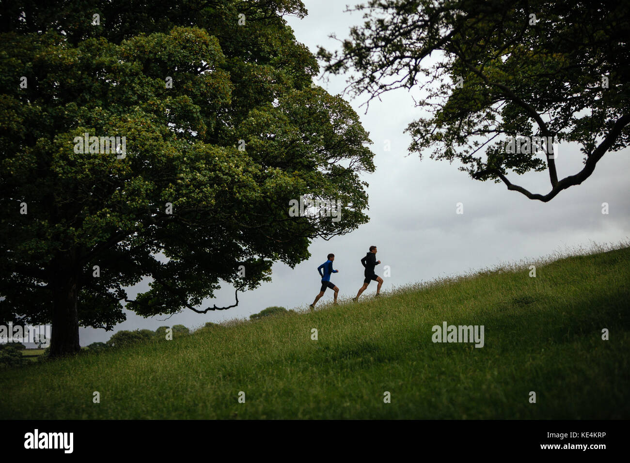 Gli atleti corrono attraverso attraverso gli alberi nella campagna britannica. Foto Stock