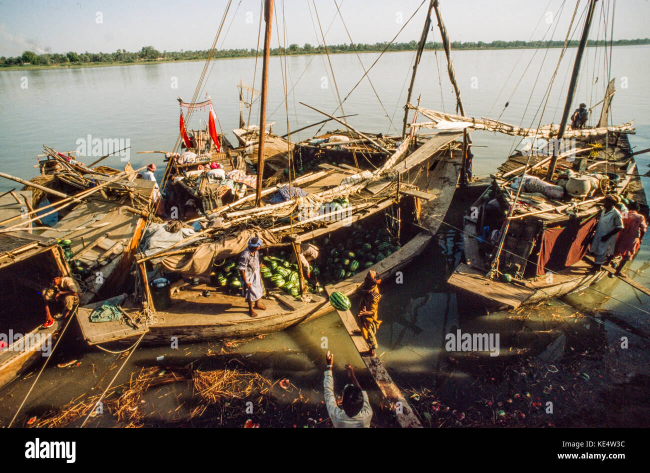 Lo scarico di angurie a Sukkur sul lago Manchar, provincia del Sindh, Pakistan. Foto Stock