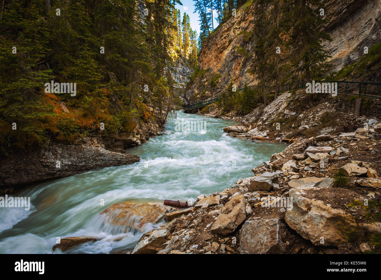 Passeggiata lungo il johnston creek a Bow Valley Parkway, il parco nazionale di Banff Foto Stock