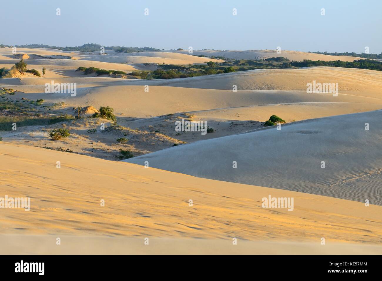 Dune di sabbia in movimento, parque regionali di Lomas de arena, Santa Cruz Santa Cruz, Bolivia Foto Stock