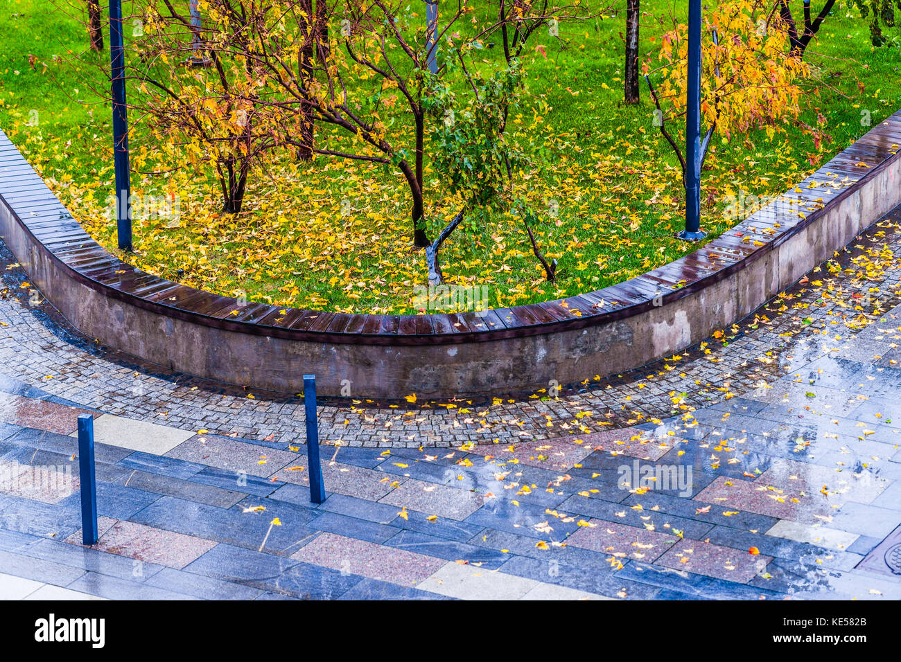 Giallo di foglie di acero in un umido pavimento in granito e su un prato verde erba di un moderno parco. caduta di pioggia meteo. nessuno attorno. Autunno dorato scena Foto Stock