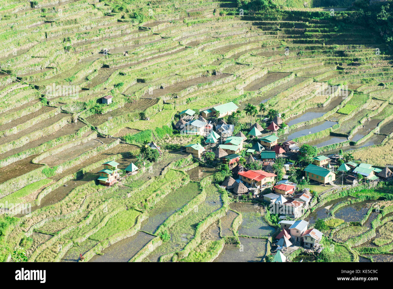Batad terrazze di riso di Banaue, ifugao, Filippine. Foto Stock