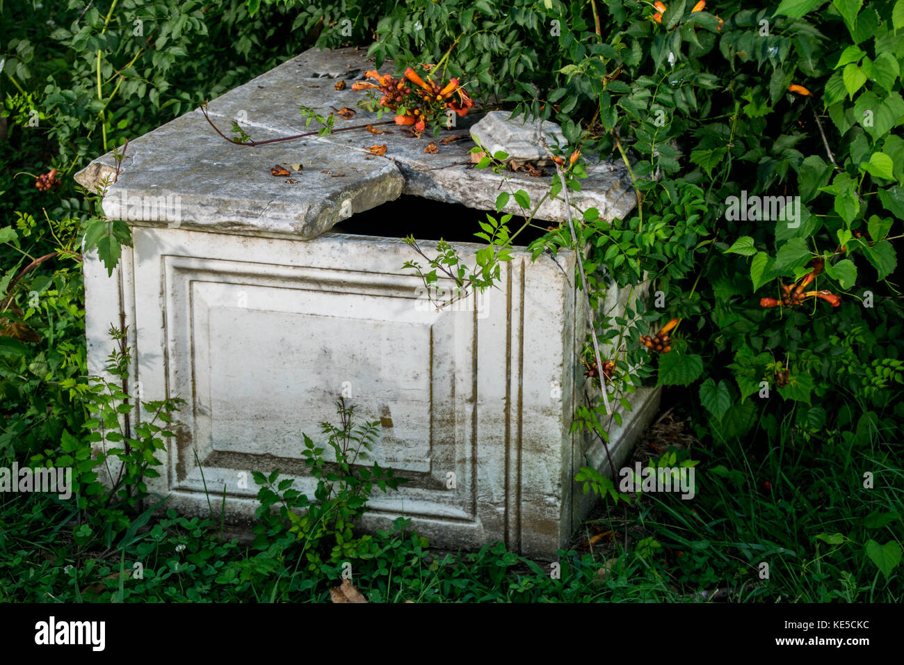 La lapide spezzata nel cimitero di confederati Foto Stock