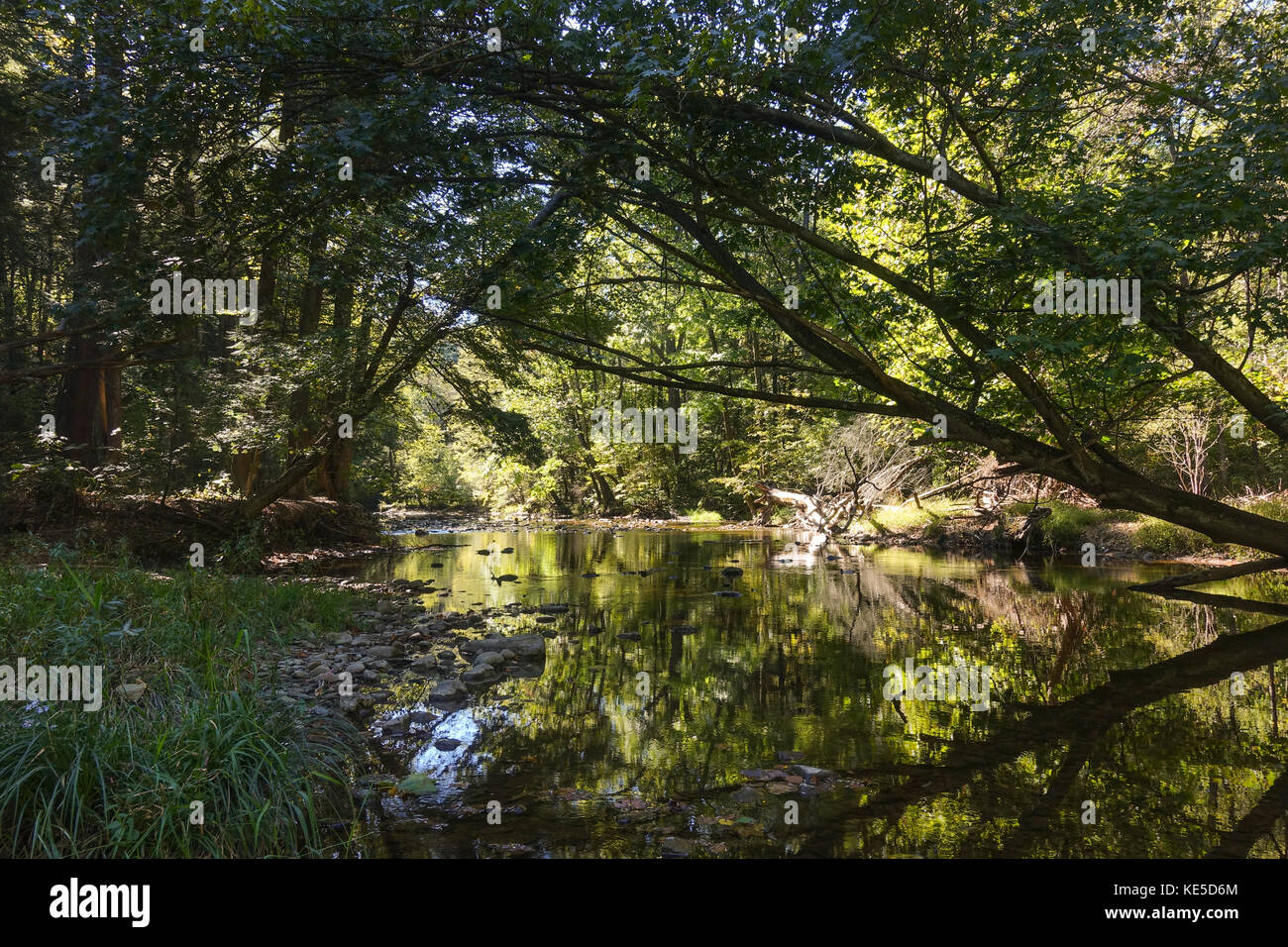 Bushkill creek a Jacobsburg parco statale, Nazaret, Pennsylvania, Stati Uniti. Foto Stock
