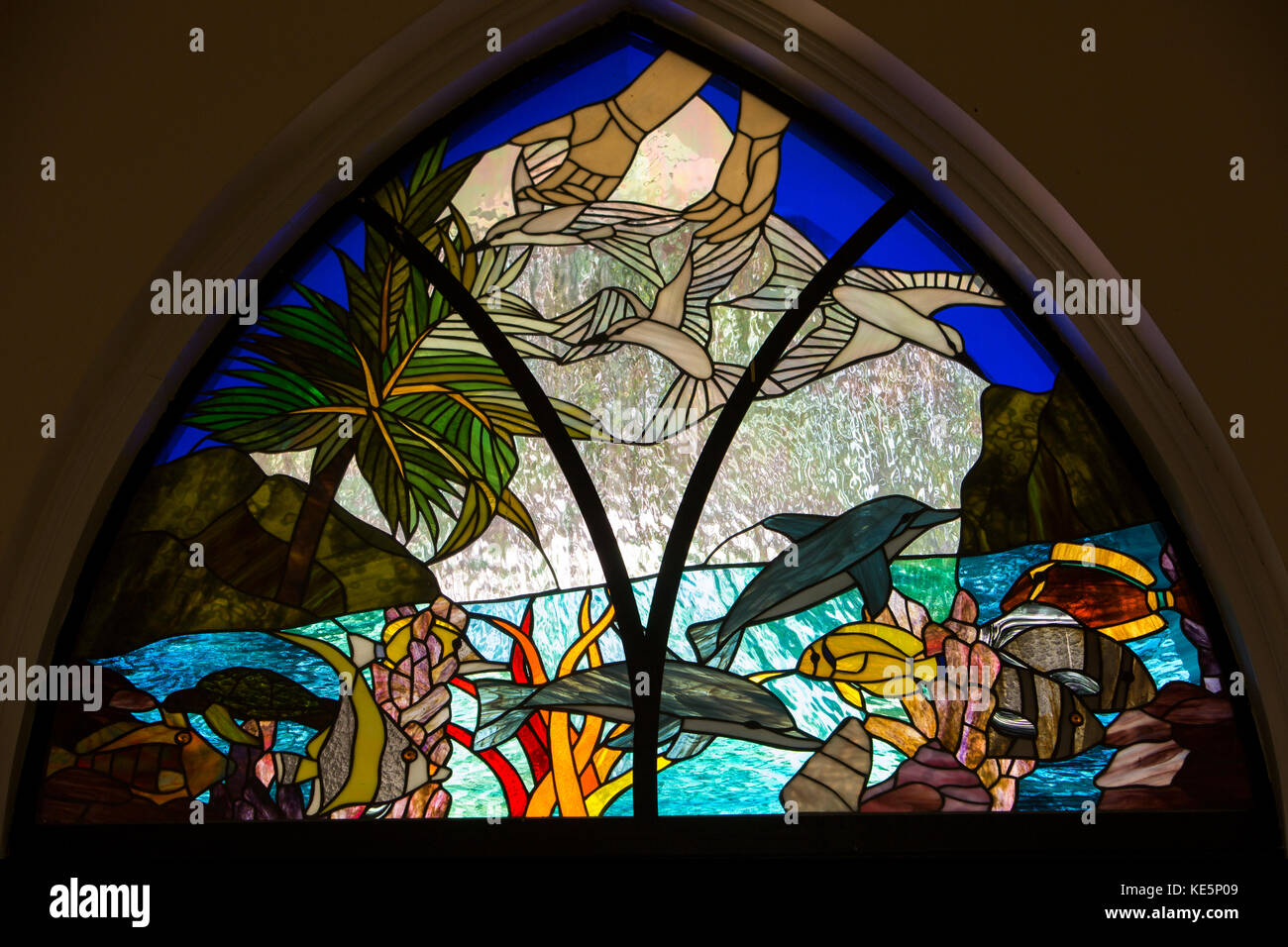 La Seychelles, Mahe, Victoria, St Paul Cattedrale Anglicana di fauna tropicali delle vetrate colorate Foto Stock