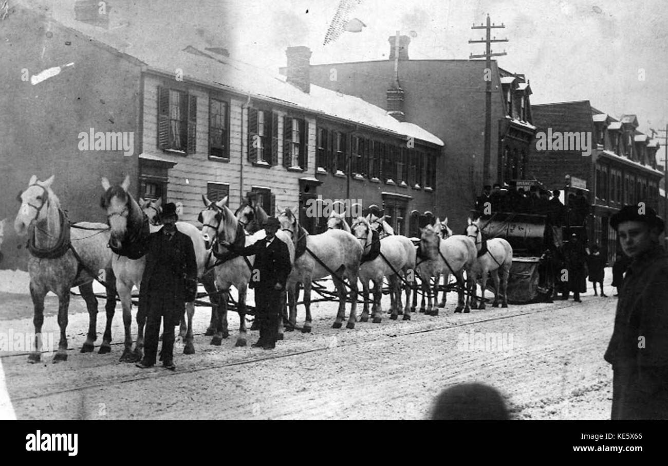 Una squadra di dodici cavalli viene raffigurata mentre tira una spazzatrice da neve, utilizzata per rimuovere la neve da strade o piste. Questa immagine storica mette in evidenza l'uso dei cavalli durante i lavori invernali durante il XIX e l'inizio del XX secolo, prima della rimozione meccanizzata della neve. Foto Stock