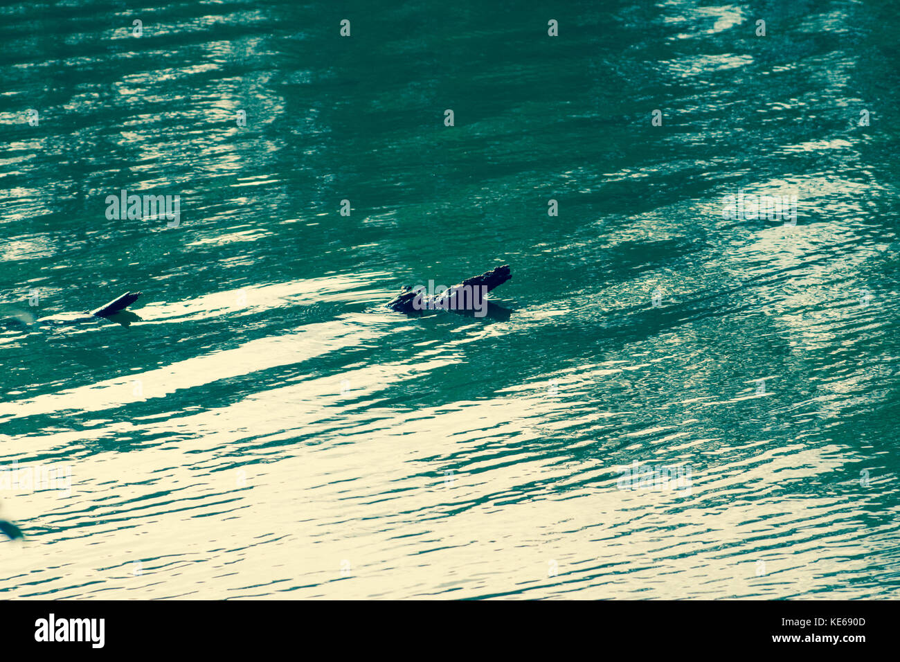 Le cose semplici Foto Stock