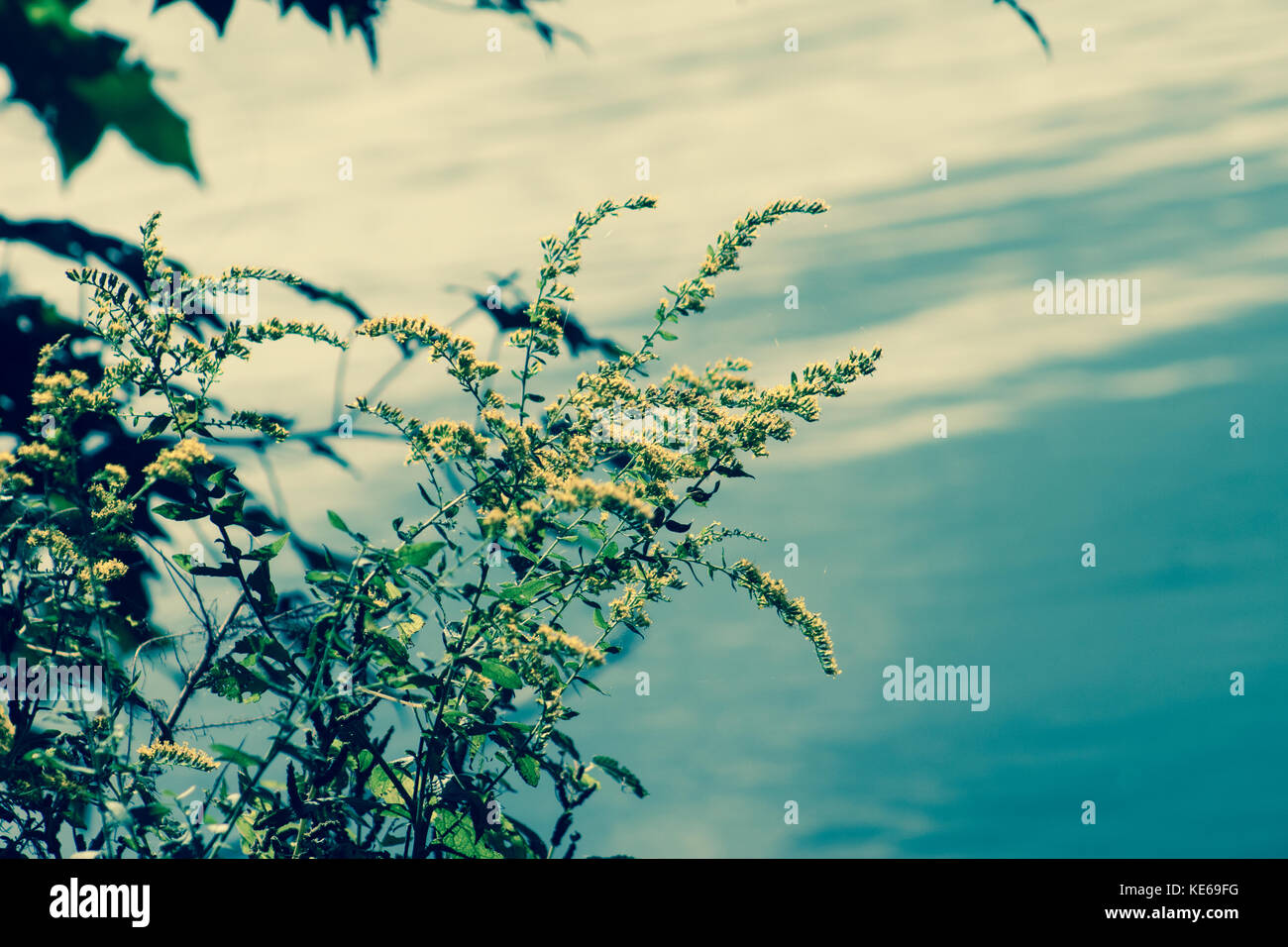 Le cose semplici Foto Stock