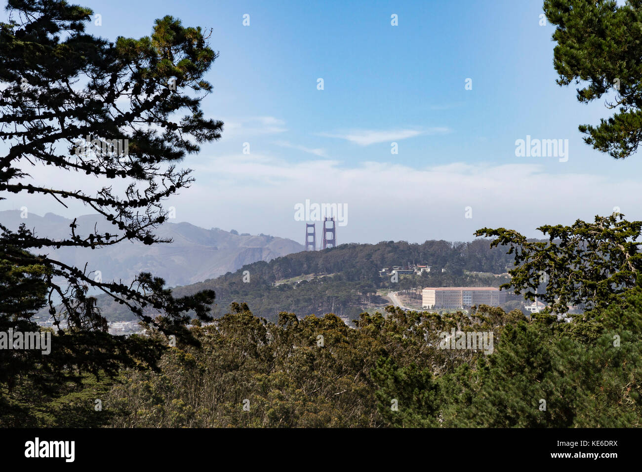 Segui i sentieri del Buena Vista Park fino in cima e sarai ricompensato con le splendide vedute della città di San Francisco. Da questo punto si vede il Golden Gate Bridge. Foto Stock