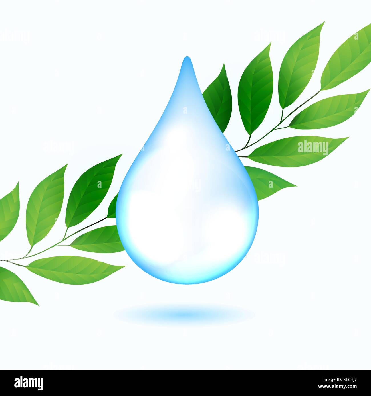 Goccia di acqua con foglie di colore verde Illustrazione Vettoriale