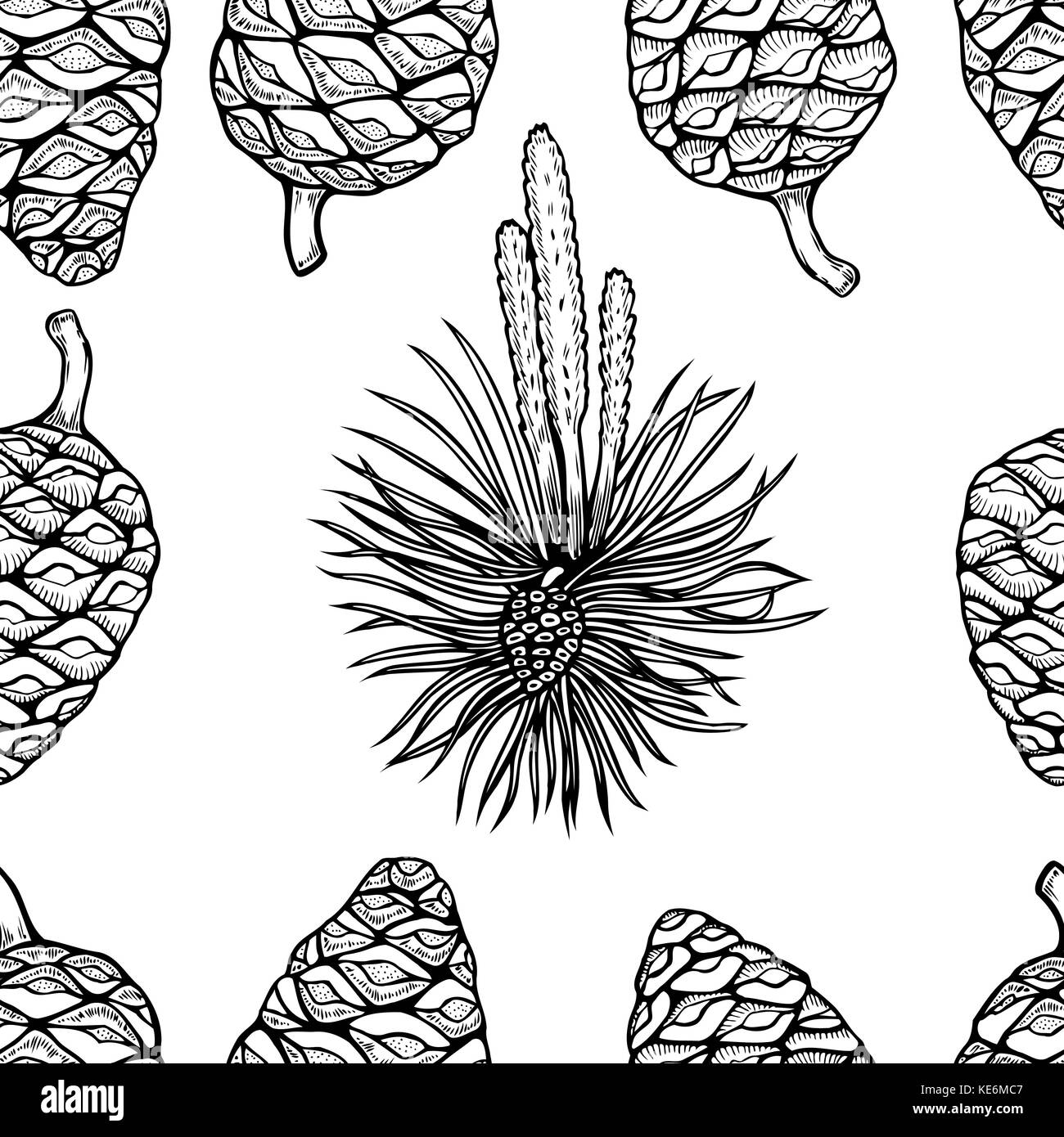 Vettore con sfondo disegnato a mano gli alberi di conifere coni sketch. pattern senza soluzione di continuità con i tradizionali impianti di natale. vintage holiday decor. Illustrazione Vettoriale