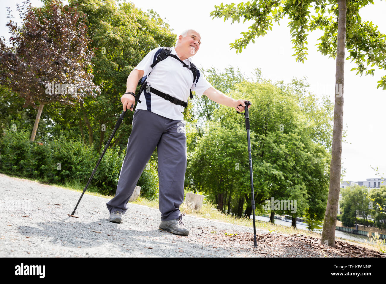 Ritratto di un maschio Senior escursionista con Trekking Pole Foto Stock