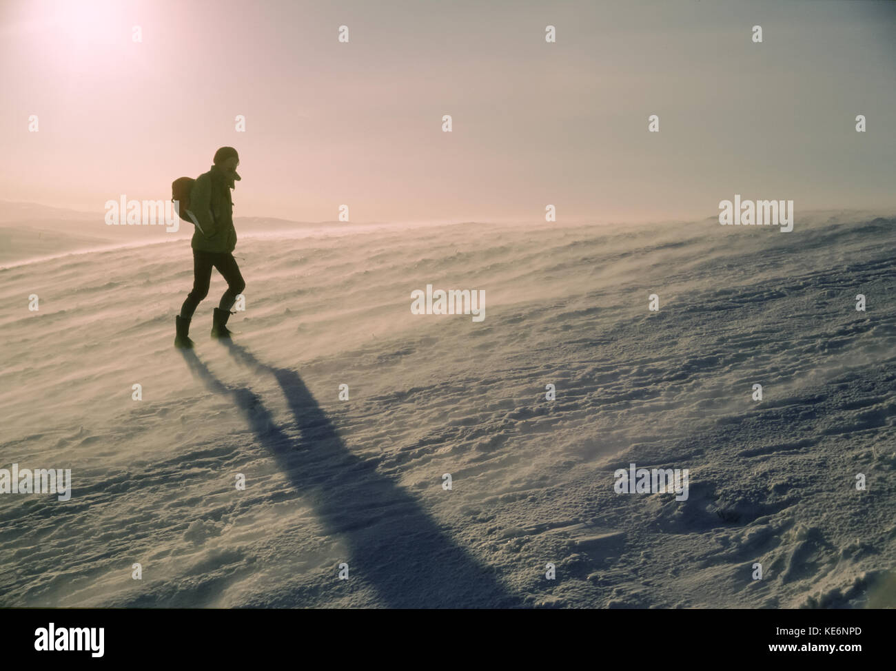 Uomo che indossa uno zaino che lotta contro il vento forte in cima alla collina innevata in inverno, Pentland Hills, Midlothian, Scozia, Regno Unito negli anni '80 Foto Stock