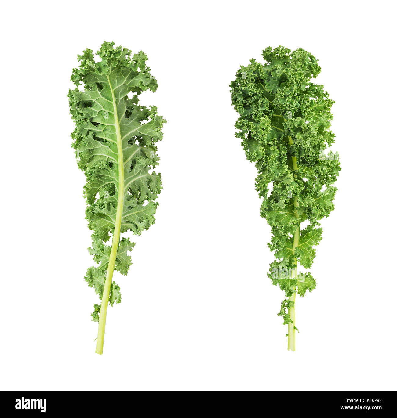 Ricetta Vellutata Di Cavolfiore Verde - Donna Moderna - Foto 9