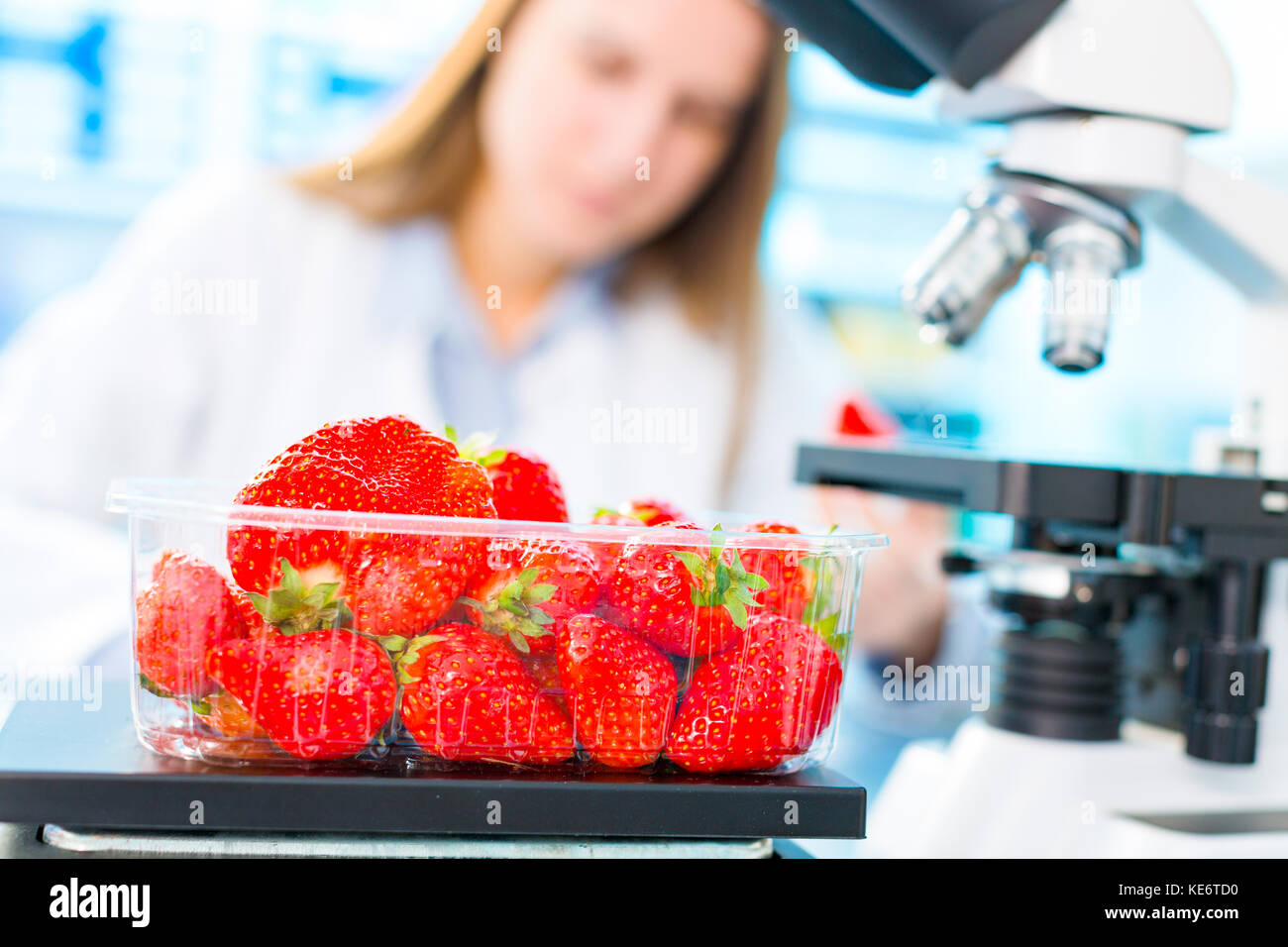 Fragole ricerca in laboratorio. per la lavorazione degli alimenti e il controllo di qualità Foto Stock