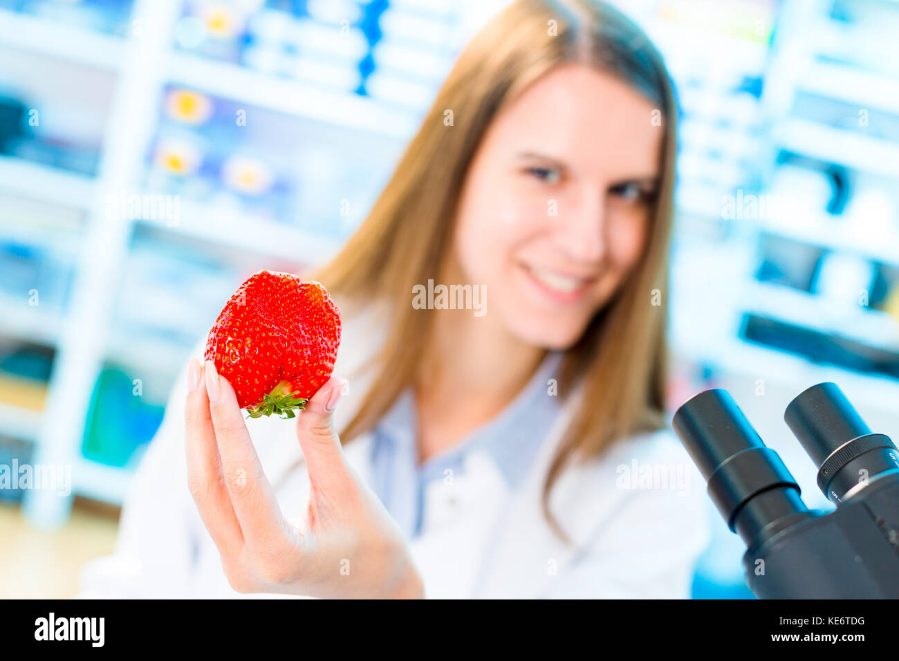 Fragole ricerca in laboratorio. per la lavorazione degli alimenti e il controllo di qualità Foto Stock