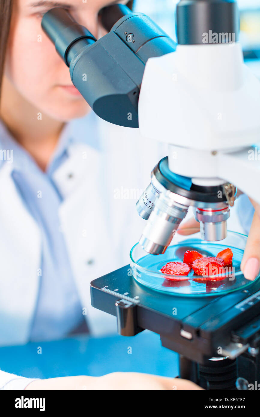 Fragole ricerca in laboratorio. per la lavorazione degli alimenti e il controllo di qualità Foto Stock