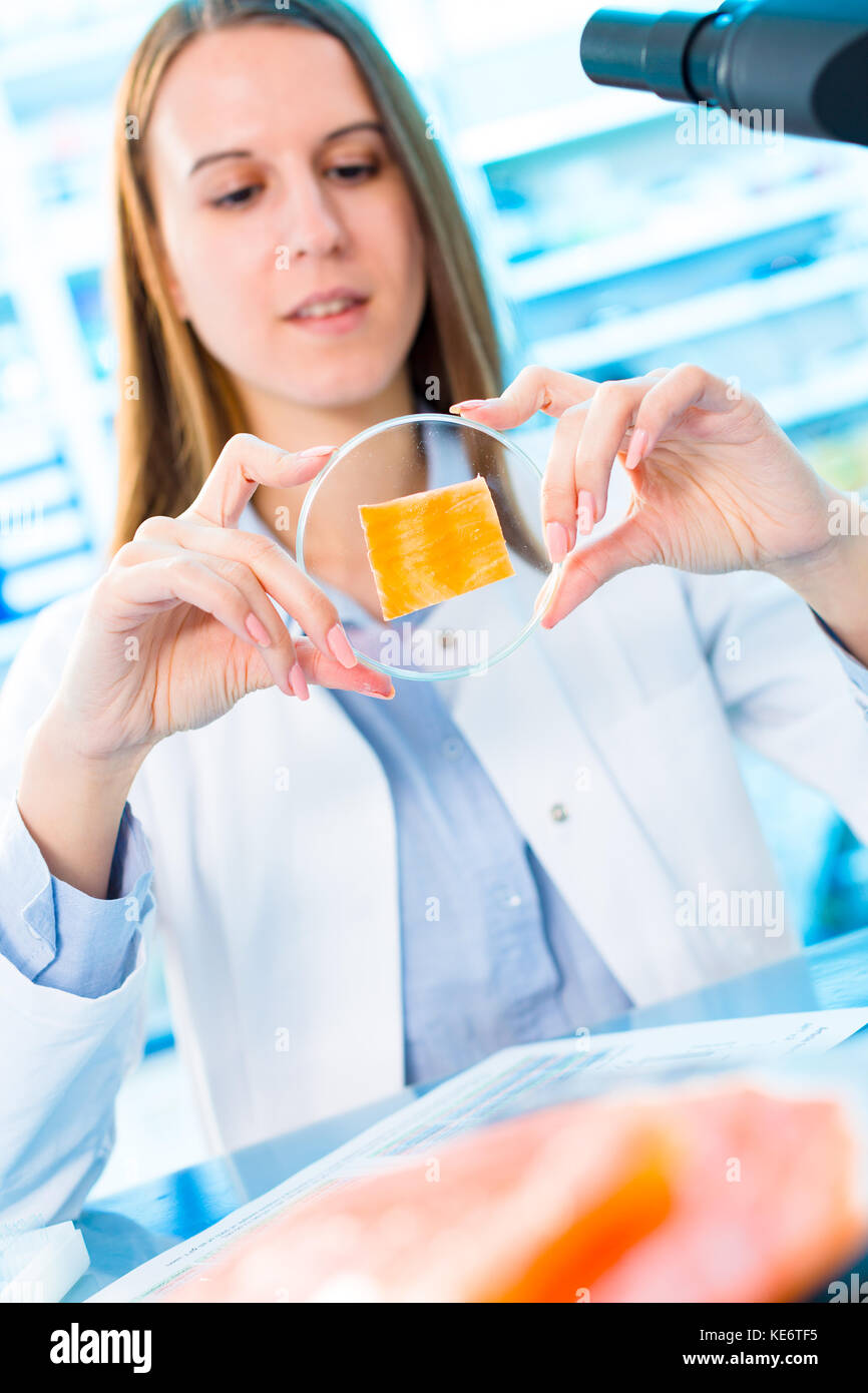 Ricerca di pesce in laboratorio. per la lavorazione degli alimenti e il controllo di qualità di pesce Foto Stock