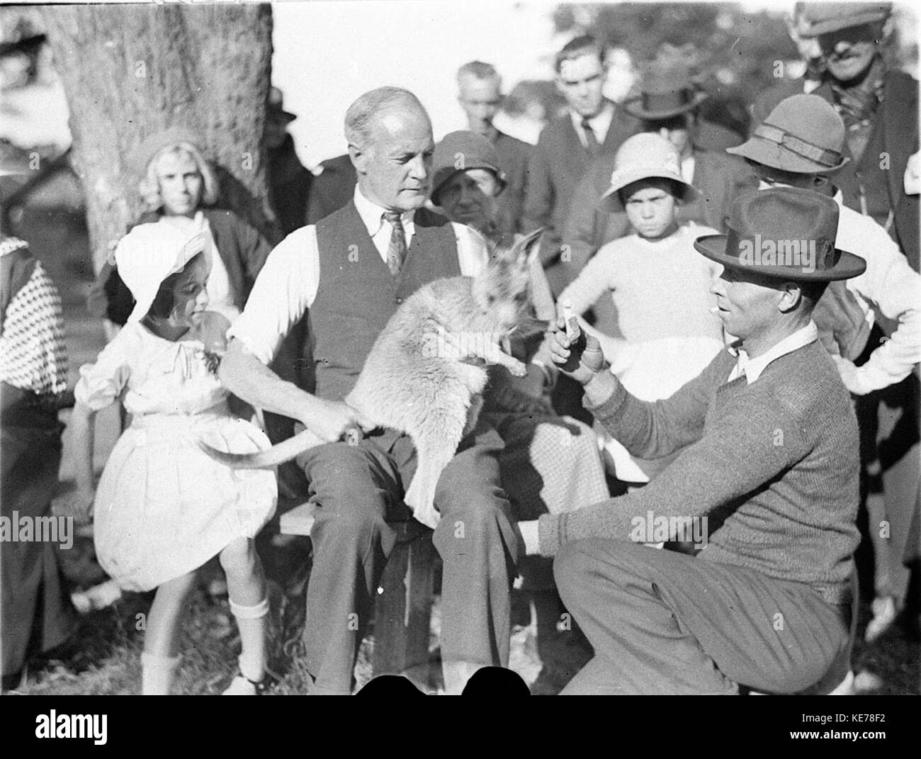 7331 Curatore mostra baby roo per bambini Foto Stock