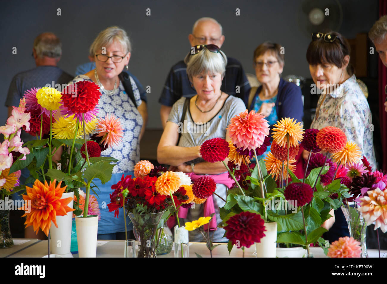 Il villaggio flower show - visitatori ammirando prize-winning dalie Foto Stock
