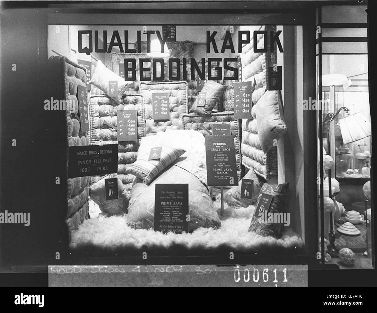 12429 Kapok lettiere Foto Stock