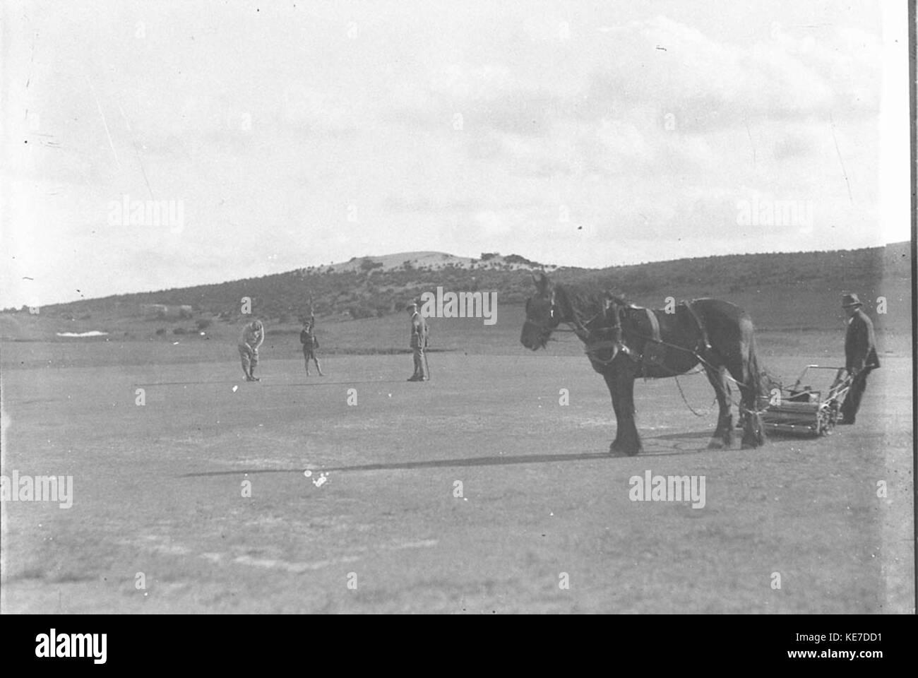 8483 La falciatrice horsedrawn fa una vignetta di un giocatore mettendo Foto Stock