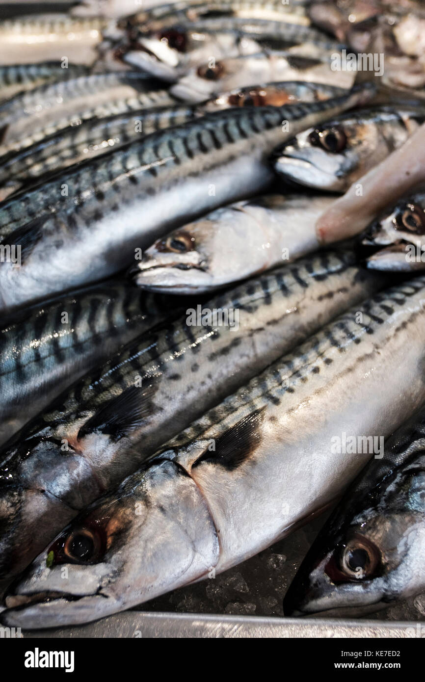 Pesce fresco. Trota su un mercato in stallo in un supermercato. Foto Stock