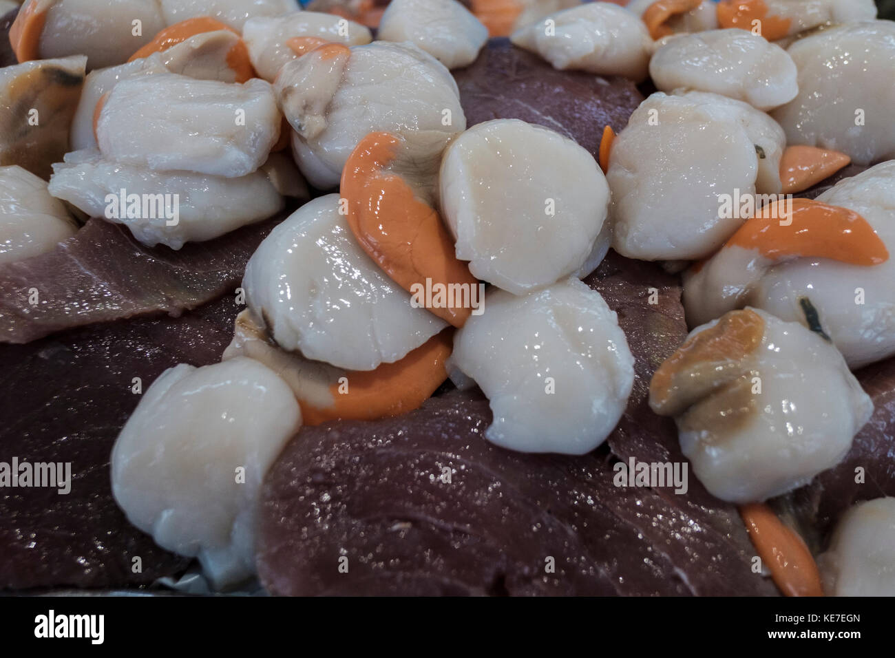 Scaloppina è un nome comune che è principalmente applicato ad una qualsiasi di numerose specie di acqua salata le vongole o marine molluschi bivalvi Foto Stock