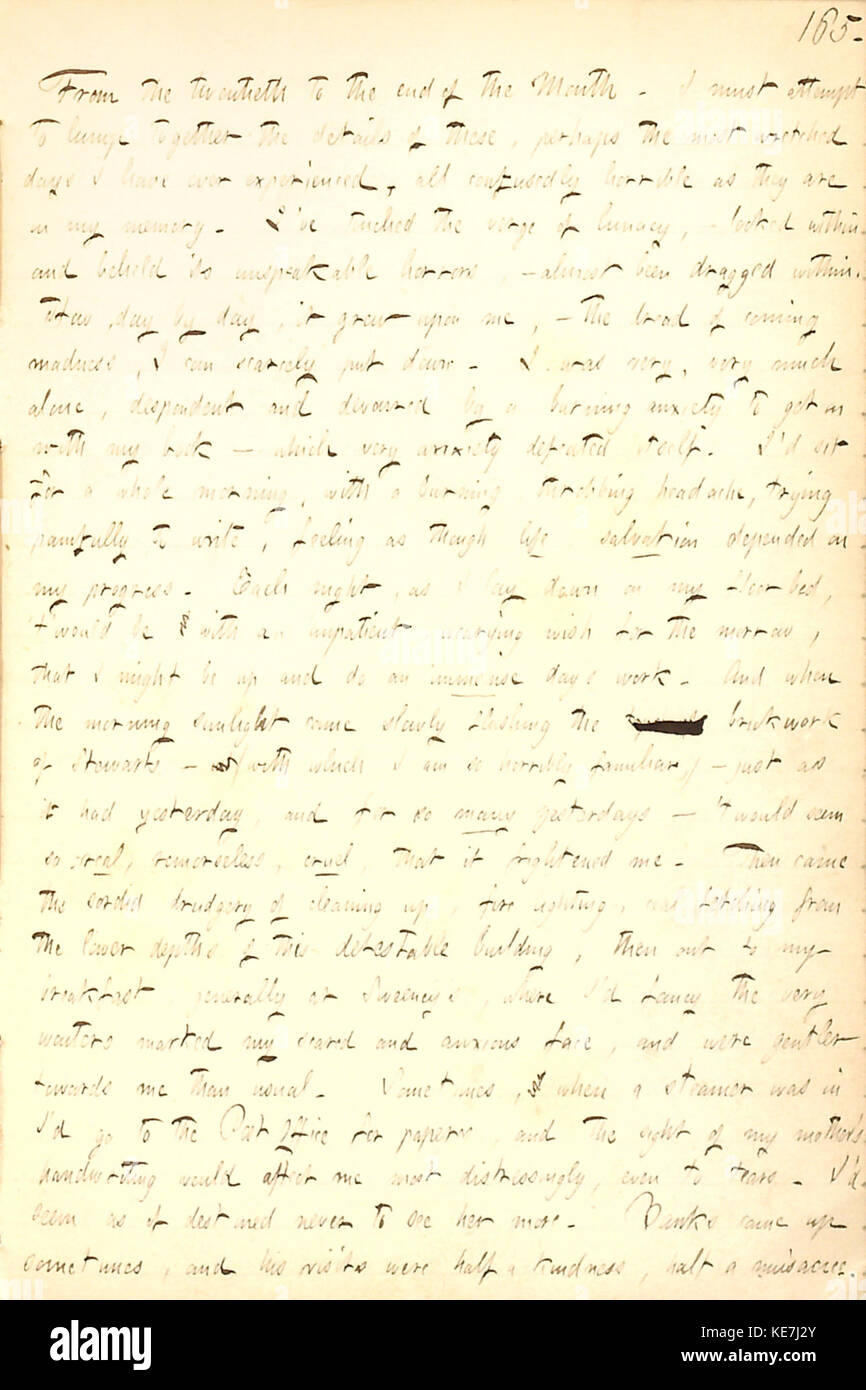 Thomas Butler Gunn Diaries Volume 7, pagina 173, 20 Novembre 30, 1855 Foto Stock