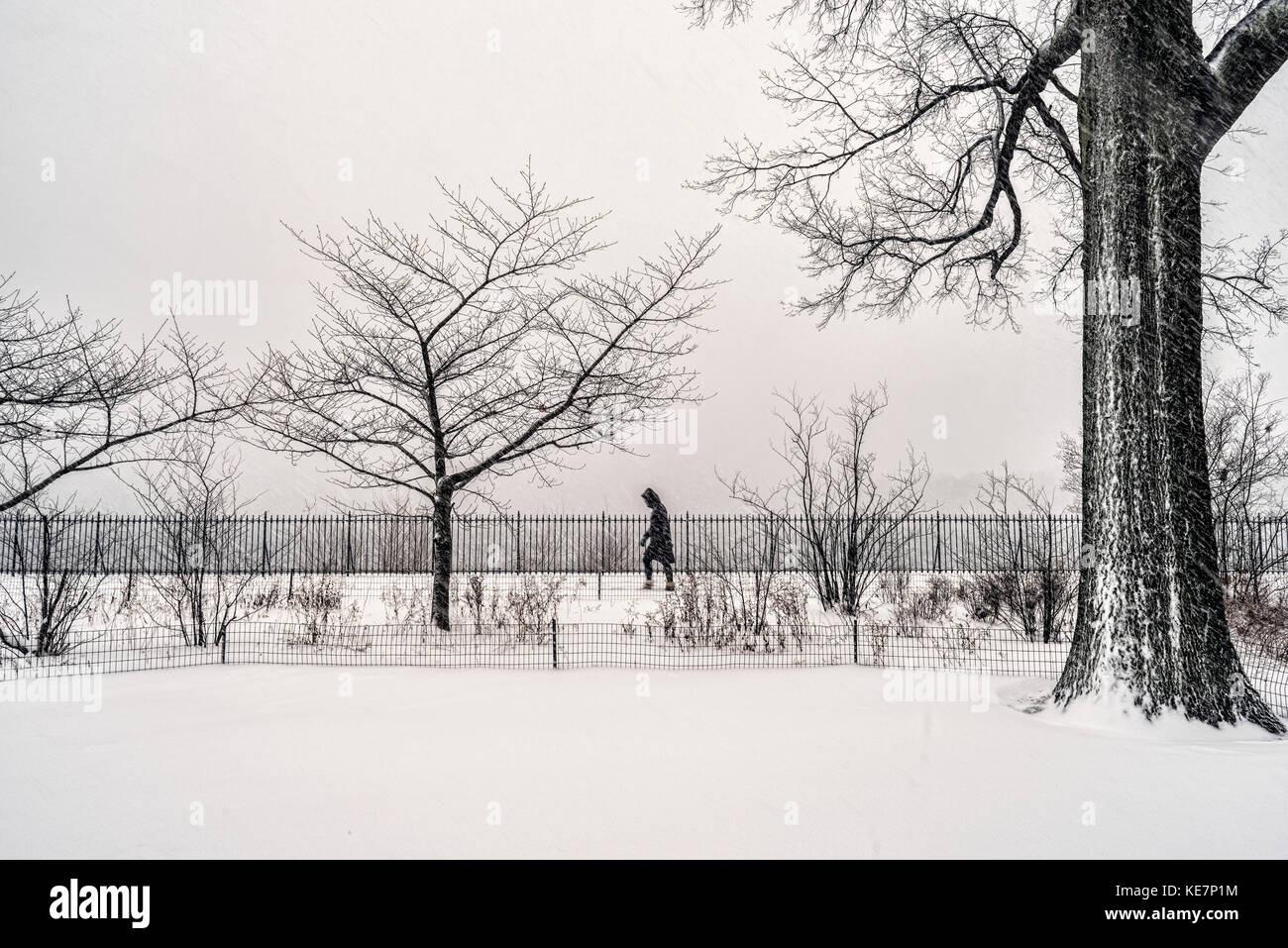Condizioni di Blizzard da Jacqueline Kennedy Onassis Reservoir, Central Park, New York City, New York, Stati Uniti d'America Foto Stock