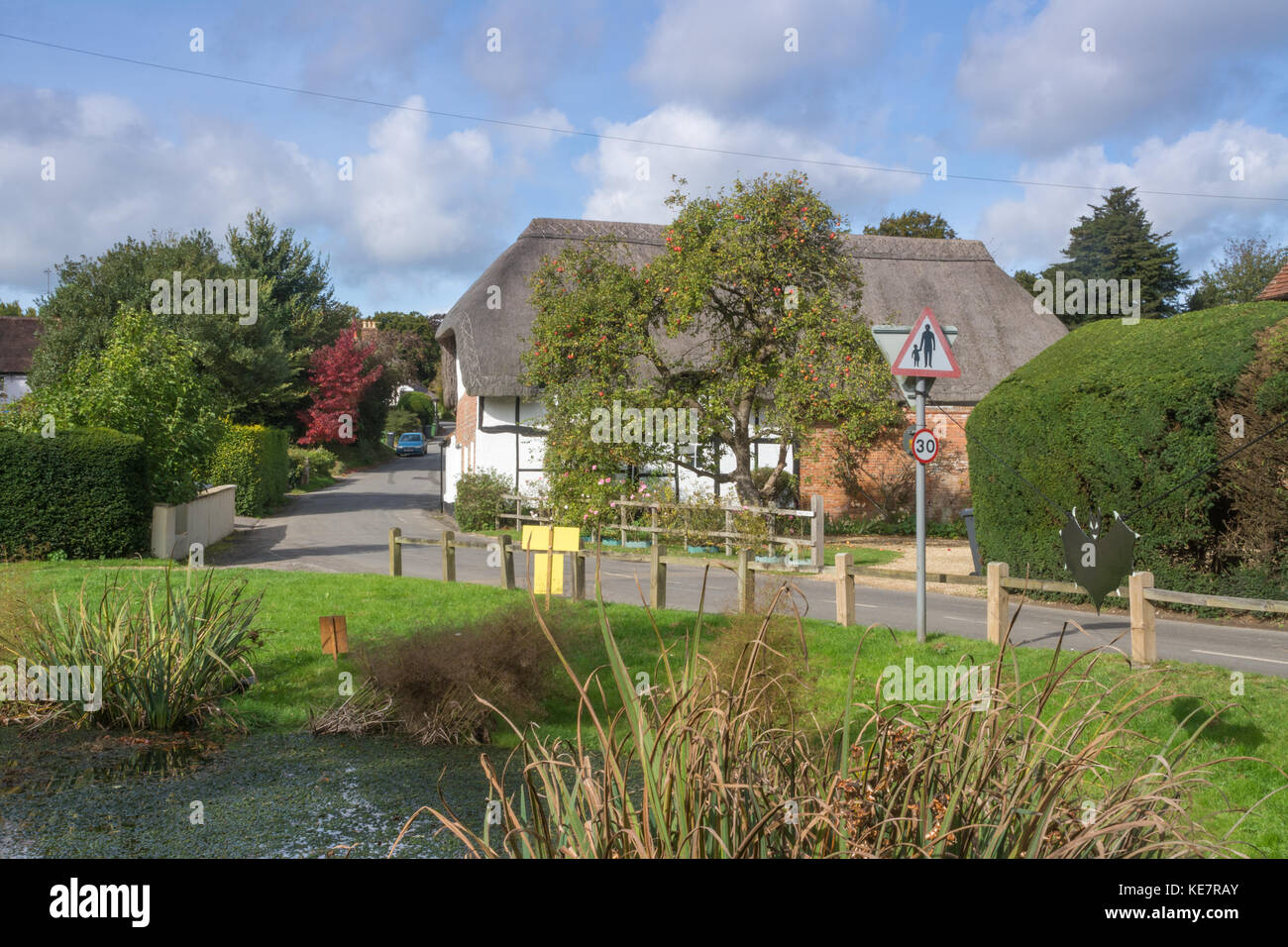 Upton grigio, un affascinante villaggio in Hampshire, Regno Unito. Graziosi cottage con tetto in paglia vicino al laghetto. Foto Stock