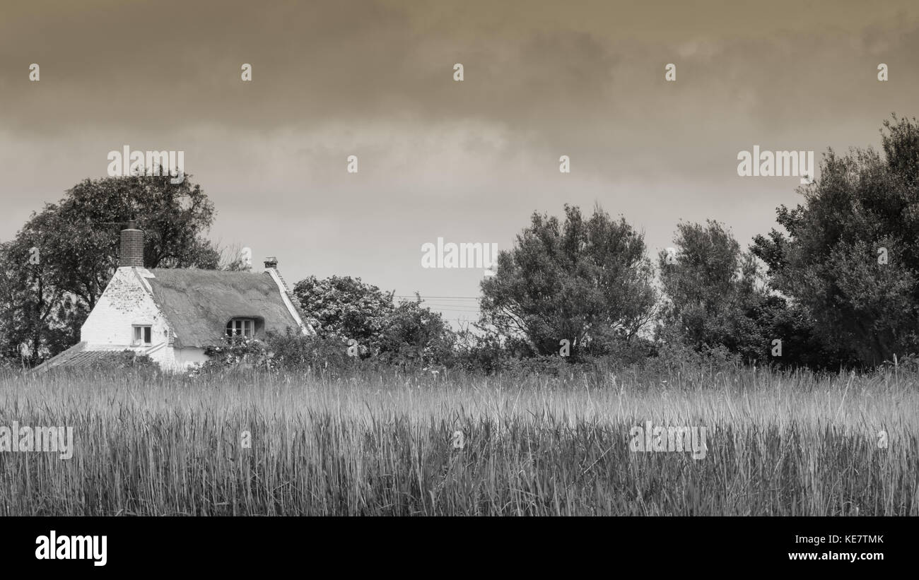 Norfolk Broads Foto Stock