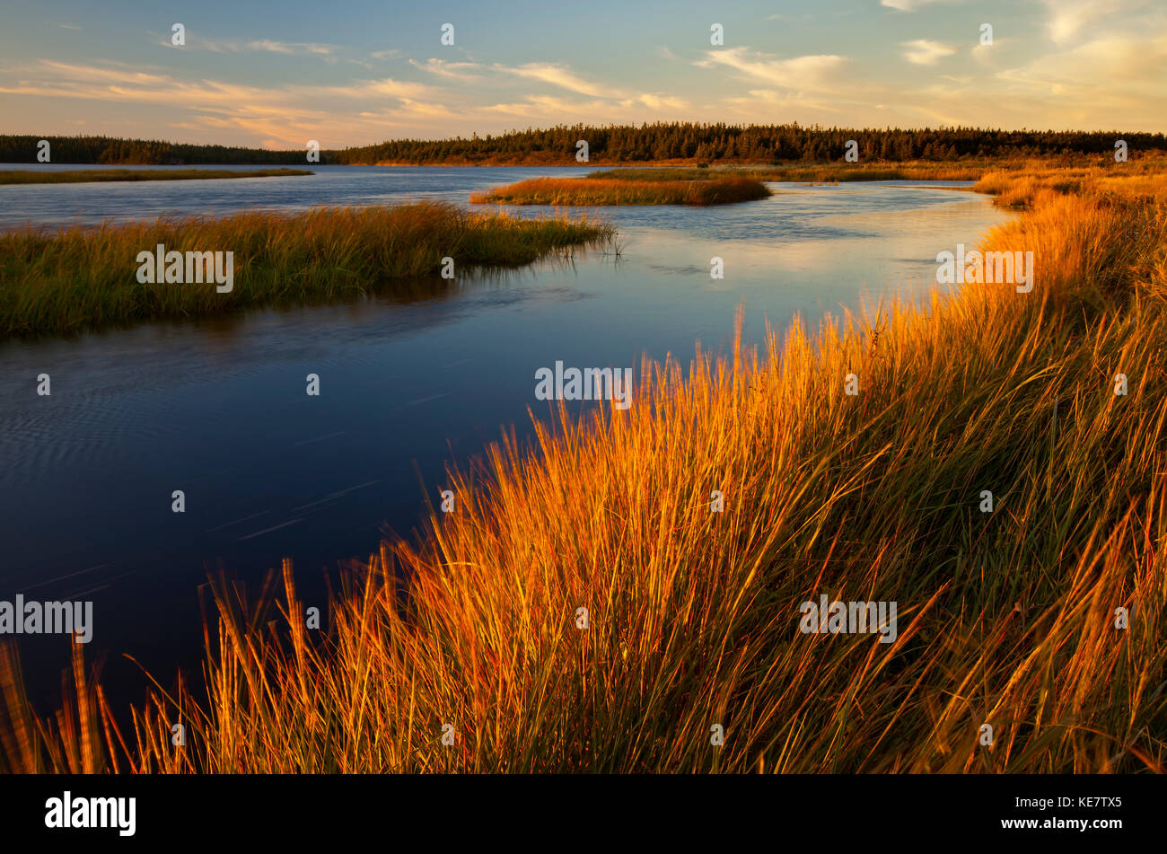 Tramonto illumina il sale erbe palustri A Crooked Lake, Morrisons Beach; Framboise, Cape Breton Island, Nova Scotia, Canada Foto Stock