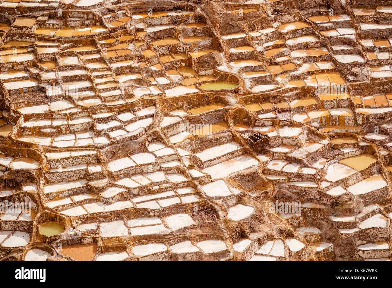 Maras Saline, Valle Sacra; Provincia di Cuzco, Perù Foto Stock