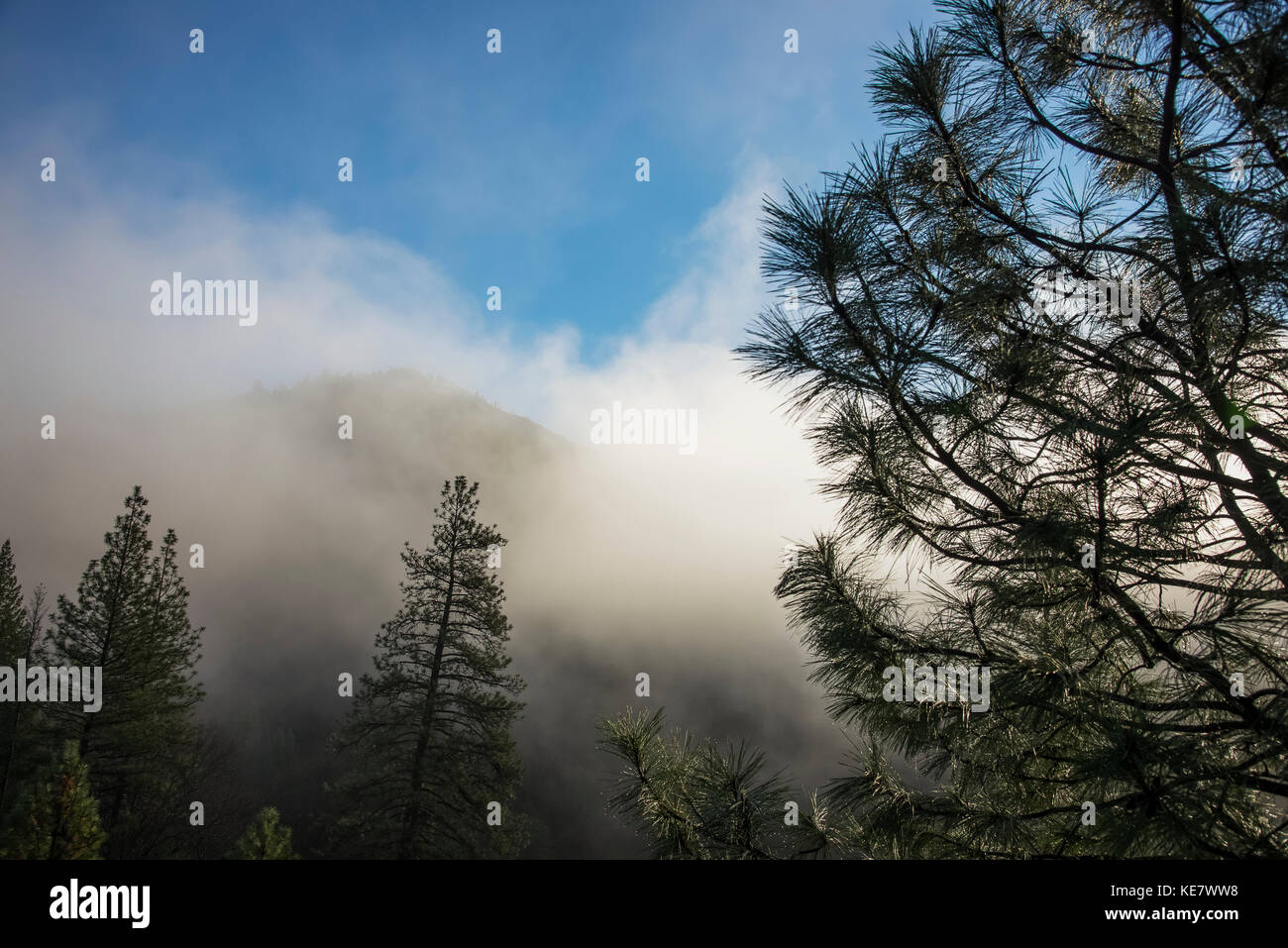 Nebbia autunnale nel corso del fiume Sacramento nei pressi di Clark Gulch; California, Stati Uniti d'America Foto Stock