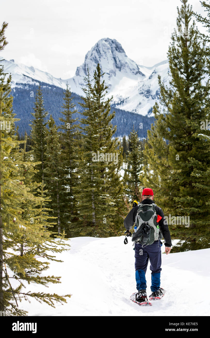 Snowshoer maschio su strade coperte di neve Trail con Snow-Covered Mountain in background; Alberta, Canada Foto Stock